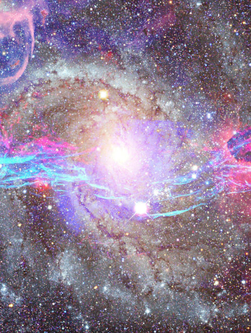 thehomewardsignal-decoding-the-signal Decoding the Signal